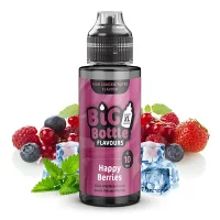 Big Bottle Flavours Longfill Aroma 10ml