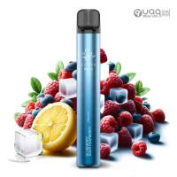 Elfbar 600 V2 Einweg E-Zigarette 20mg Blueberry Sour...