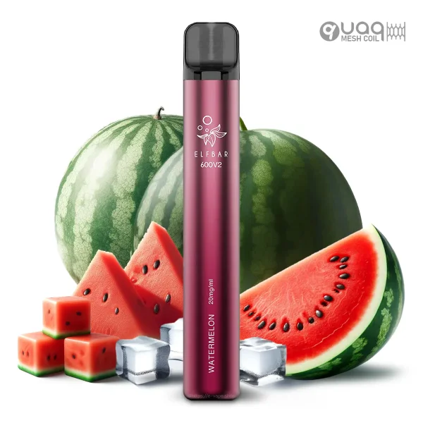 Elfbar 600 V2 Einweg E-Zigarette 20mg Watermelon