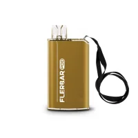 Flerbar Pod Kit Gold Basisgerät 500 mAh-Akku USB C